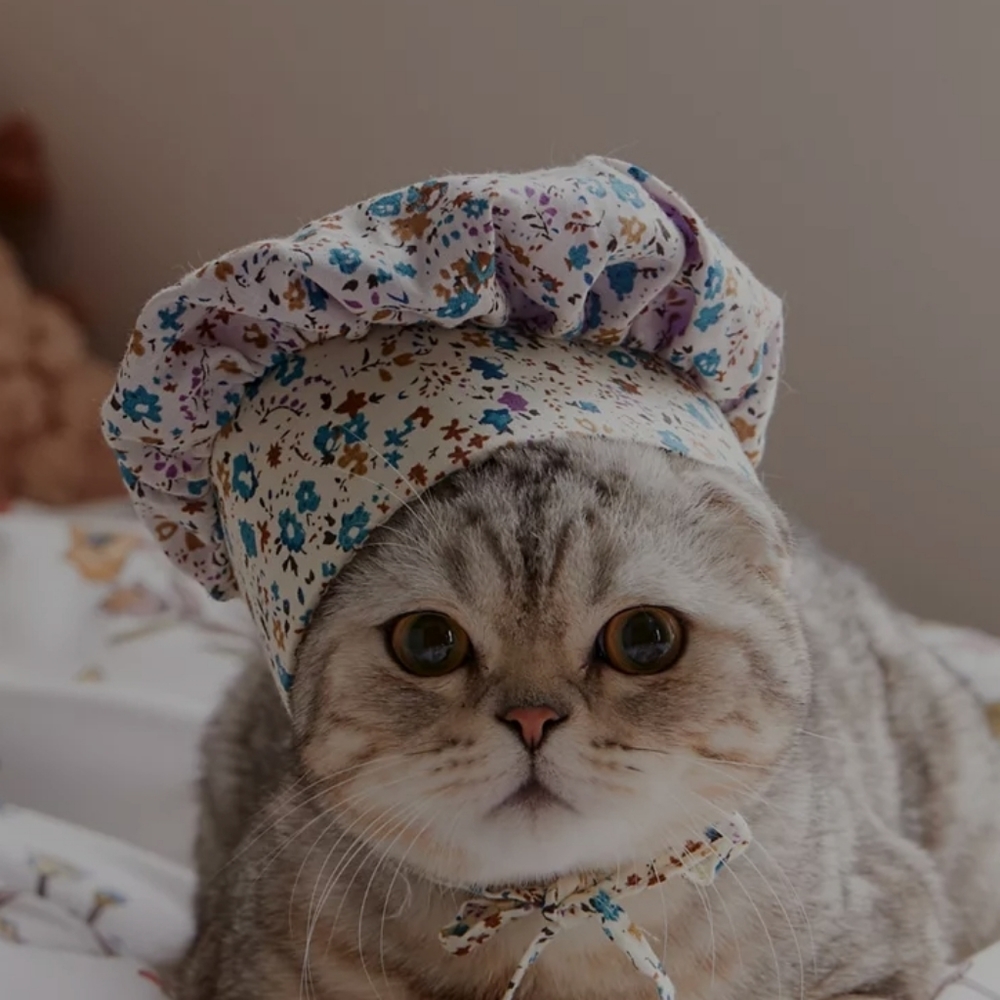 Cat 100% cotton bonnet hat accessory